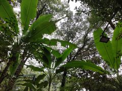 -一江春水·杭帮臻宴(三台山店)