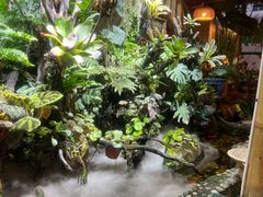-多哥水傣味餐厅(司马巷店)