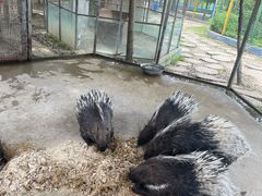 -武汉紫薇都市田园