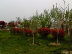 -河南财经政法大学(郑东校区)