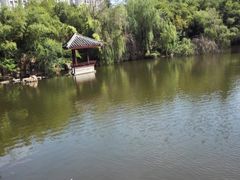 -水绘园