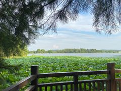 -东湖落雁景区