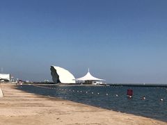 -碧海金沙