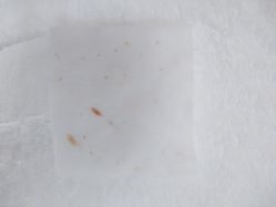 -痘博士北京·全国连锁祛痘机构