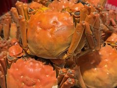 -嘉陵楼馋嘴城(簋街总店)