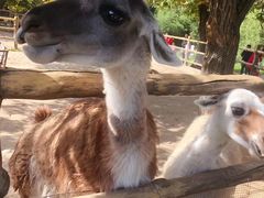 景点-西安秦岭野生动物园