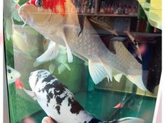 -闻香阁·清真(光荣道店)