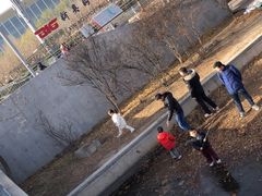 -新奥购物中心