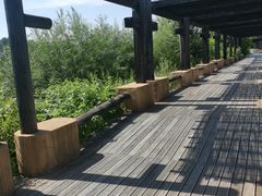 -北极村旅游风景区