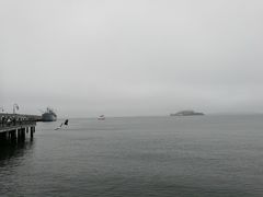 -阿尔卡特拉斯岛