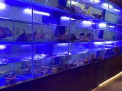 -隆聚时令海鲜(一舟店)