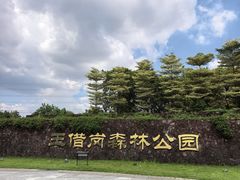 -王借岗森林公园