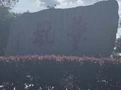 -茶颜悦色(岳麓山顶店)