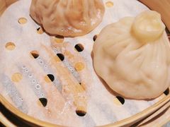 -南京大牌档(青岛万象城店)