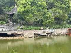 -广州市帽峰山景区