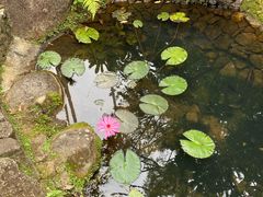 -呀诺达热带雨林