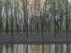 -东郊湿地公园