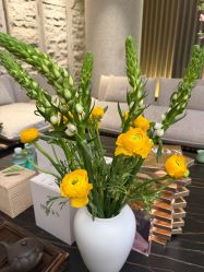 -VELEE·SPA高定疗愈会所