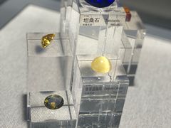 -中国地质博物馆