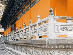 -东莞市大岭山森林公园