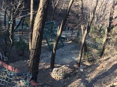 景点-原山国家森林公园