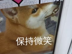 -康道天地(九六广场店)