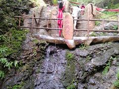 -天女山森林公园