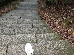 -西湖风景区十里琅珰-五云山