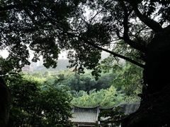 -草庵摩尼教遗址公园