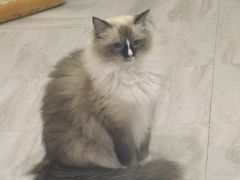 -翠花老菜饺子馆(七宝店)