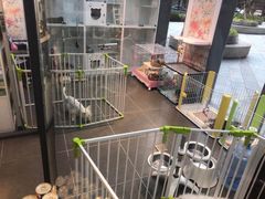 -萌兽医馆·眼科·异宠专科(三里屯店)
