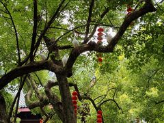 -杭州上天竺法喜讲寺