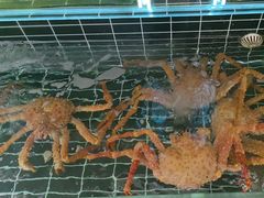 -宏运厨房·海鲜青岛菜·生日宴(城市阳台店)