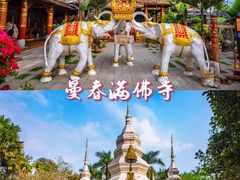 -西双版纳傣族园