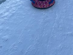 -沈阳奥体冰雪嘉年华