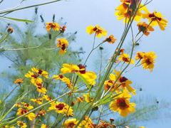 -四里河滨水生态公园