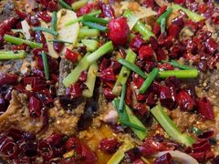 -老板恋上鱼(高新万达店)