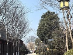 -东台西溪天仙缘景区