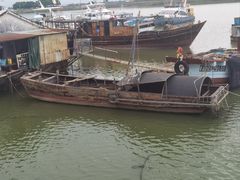 -大湾区中央湿地公园-十九涌