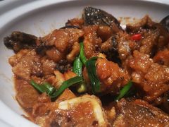 红焖西江骨鱼-海宝酒家(中山四路店)