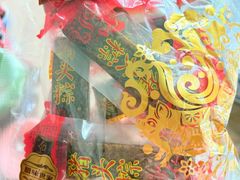 -非遗·老山合·潮汕特产猪头粽(龙眼南店)