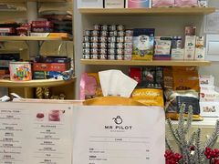 -飞行喵MR PILOT|猫舍·猫咖(静安大融城店)