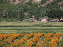 -塞罕坝国家级自然保护区