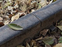 -永定河休闲森林公园