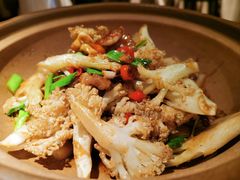 -青年公社烤鸭(蜀山万象汇店)