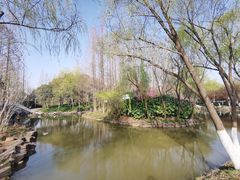 -大宁郁金香公园-停车场