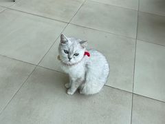 -怪兽屋·羊驼·猫咖·狗咖(俊华广场店)