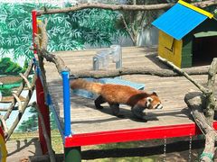 -西霞口神雕山野生动物世界