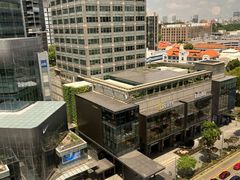 -新加坡乌节希尔顿酒店 (SG Clean)