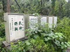 -岳麓山风景名胜区